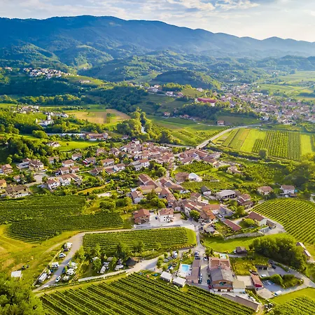 Saxida Wine Estate Zalosce