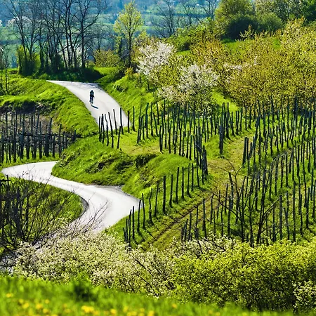 Saxida Wine Estate 3*