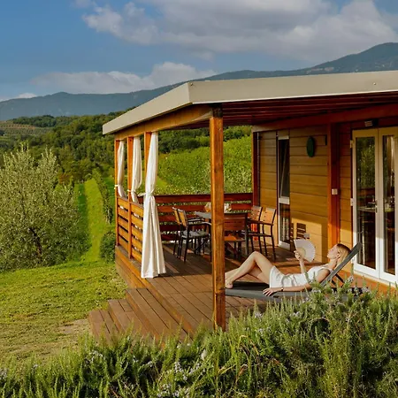 Saxida Wine Estate 3* Zalosce