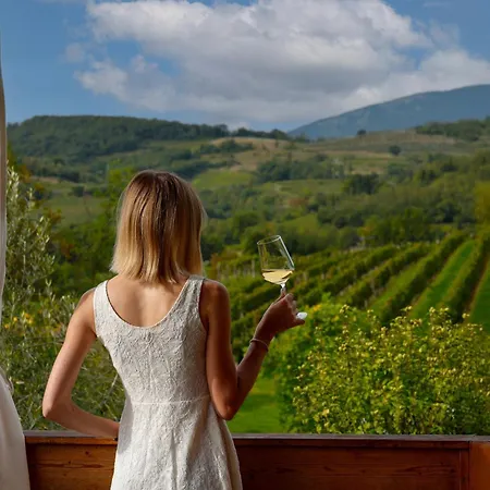 Park za odmor Saxida Wine Estate Zalosce