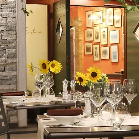פארק נופש Saxida Wine Estate 3*
