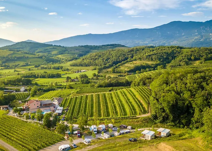 Saxida Wine Estate База отдыха