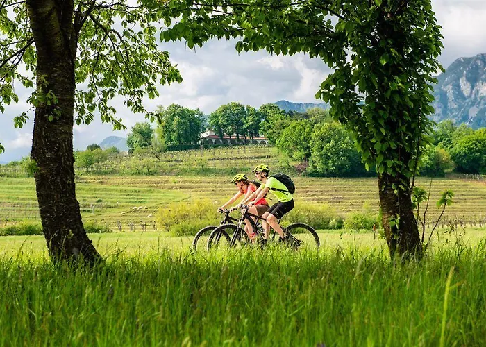 Saxida Wine Estate Vakantiepark Zalosce