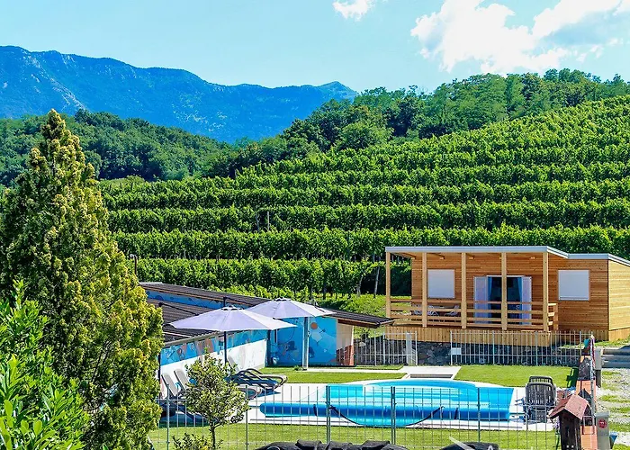 Saxida Wine Estate Vakantiepark Zalosce