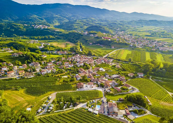 Saxida Wine Estate Zalosce