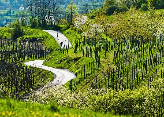 Saxida Wine Estate 3*