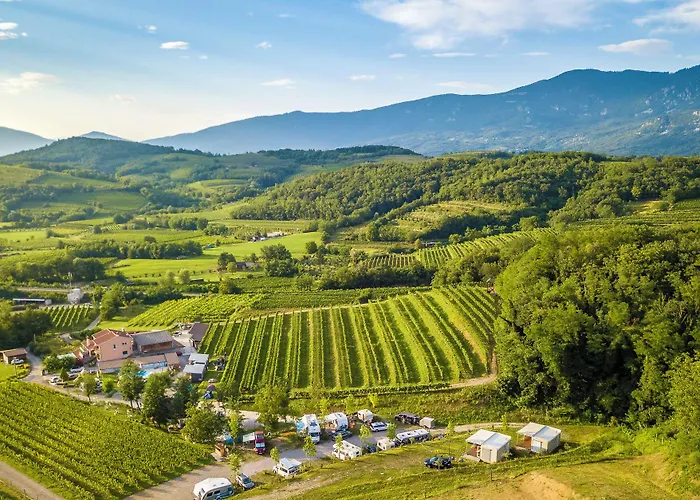 Saxida Wine Estate База отдыха Zalosce
