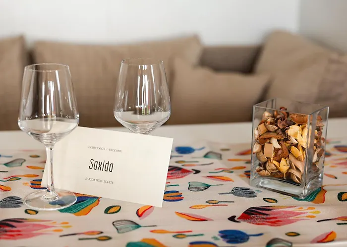 Saxida Wine Estate Vakantiepark 3*