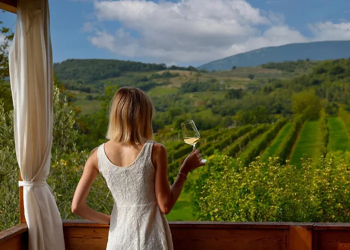 Vakantiepark Saxida Wine Estate Zalosce